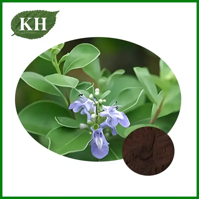Chasteberry Powder — ZAC Biotech Co., Ltd.